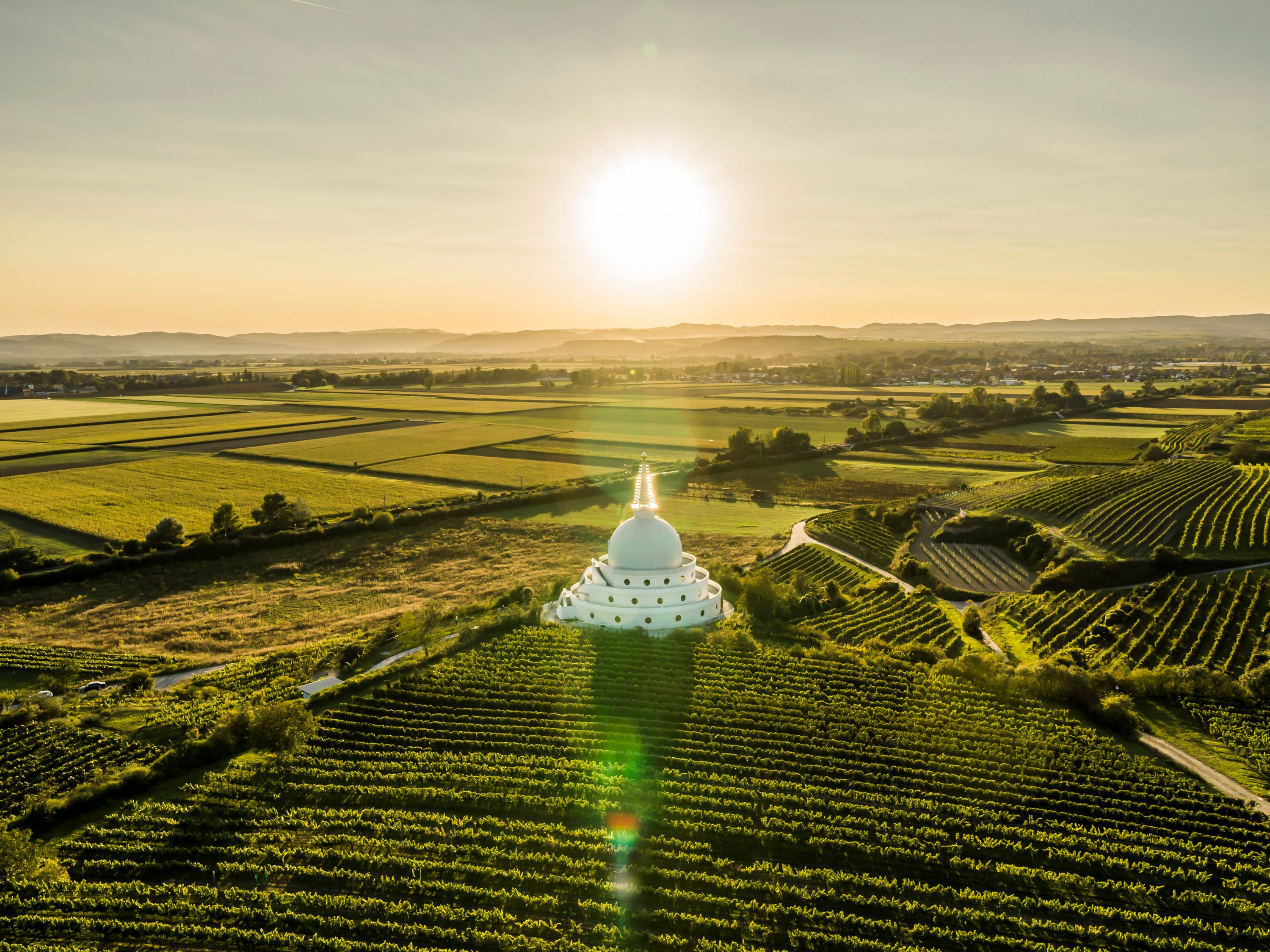 Bird's eye view of the stupa in the middle of the vineyards
