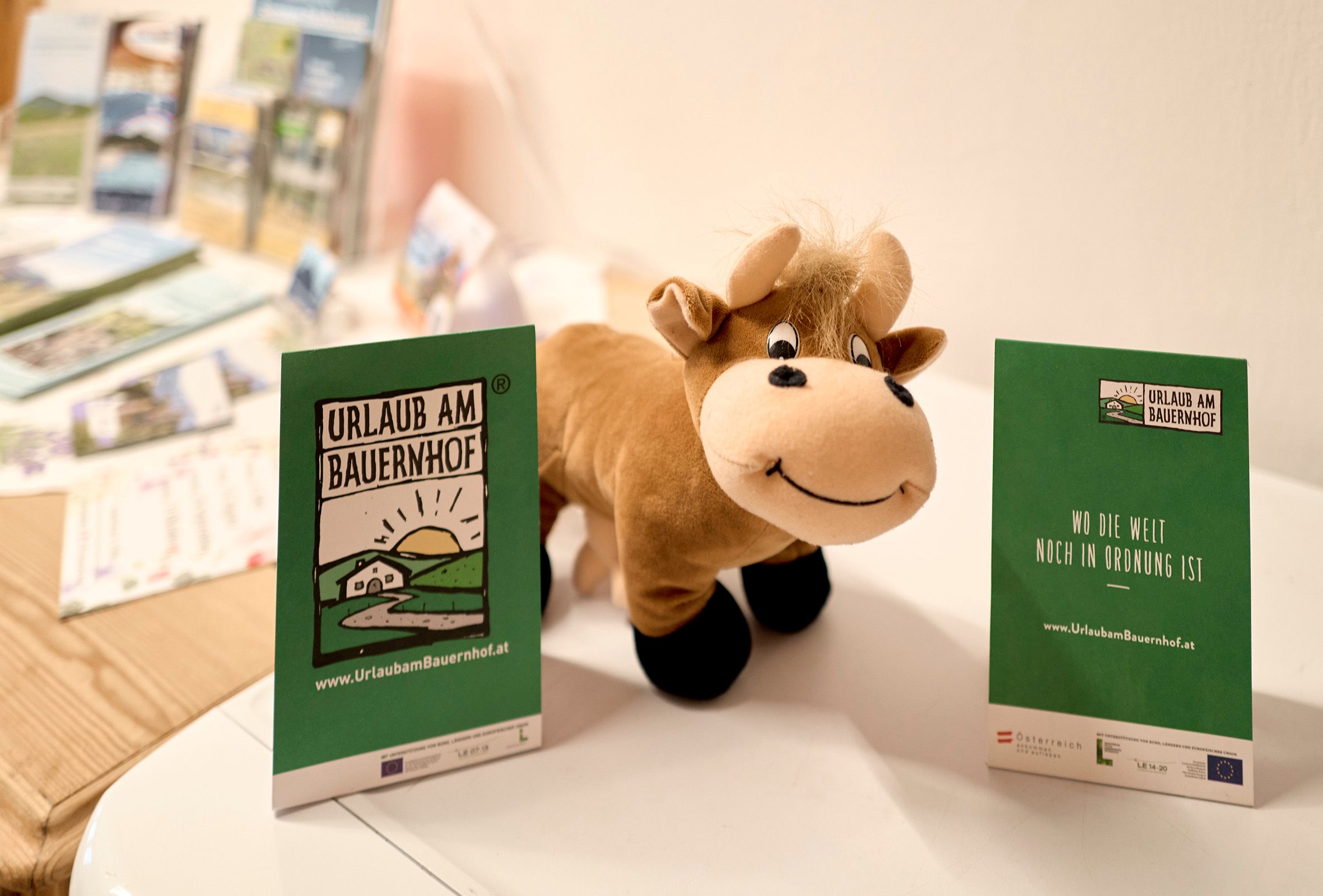 A cuddly toy in the shape of a cow stands between two flyers with the inscription 'Vacation on a farm'.