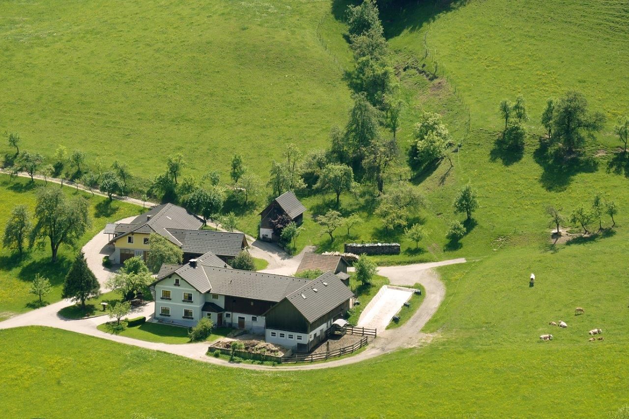 Organic farm Steg