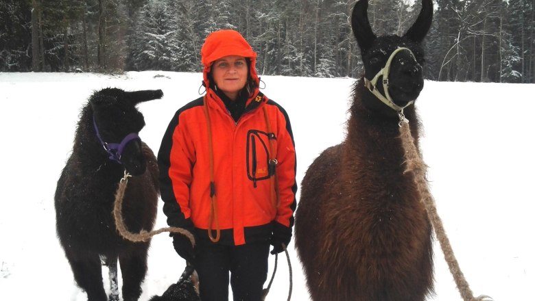 Llama hike, © Kleindienst