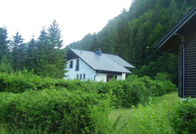 A white house with a gray roof, surrounded by green bushes and trees, in a rural forest landscape.