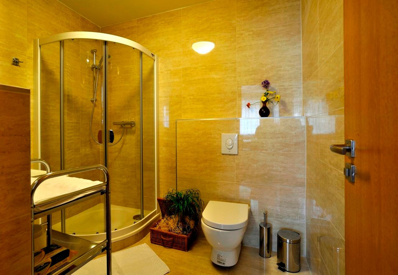 Modern bathroom with shower, WC and plants.