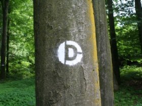 Sprühmarkierung Dunkelsteinerwald-Runde, © Unknown