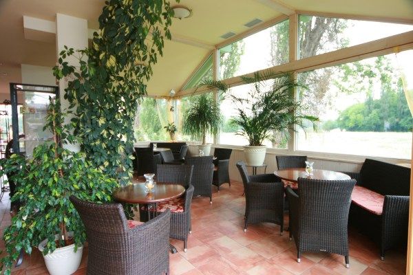 A bright conservatory with wicker furniture and lots of plants.