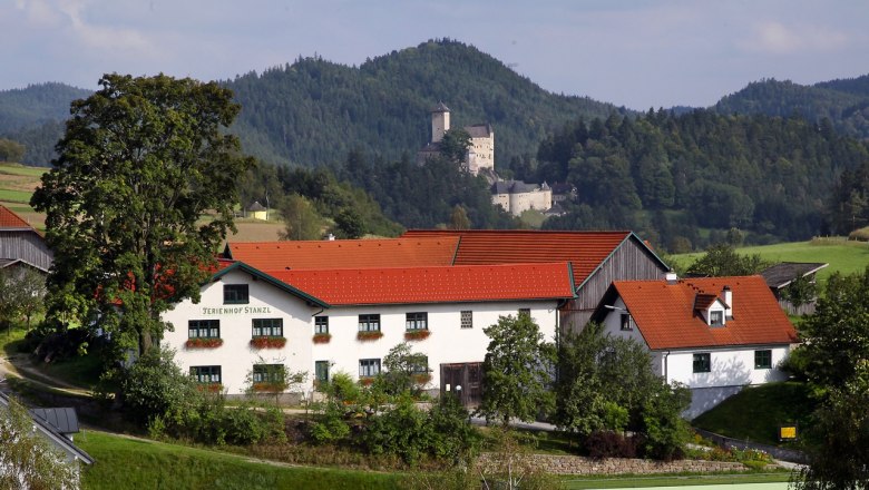 A farm with red roofs in front of a wooded hilly landscape and a castle in the background.