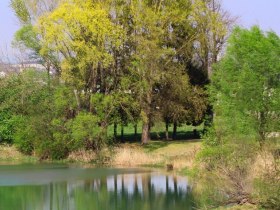 Am Ennsdorfer Psalmenweg, &copy; Prinz Anton vom katholischen Bildungswerk der Pfarre Enns - St.Marien