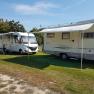 Two motorhomes with extended awnings on a campsite.