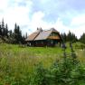 A wooden hut in a green meadow with flowers and trees in the background.