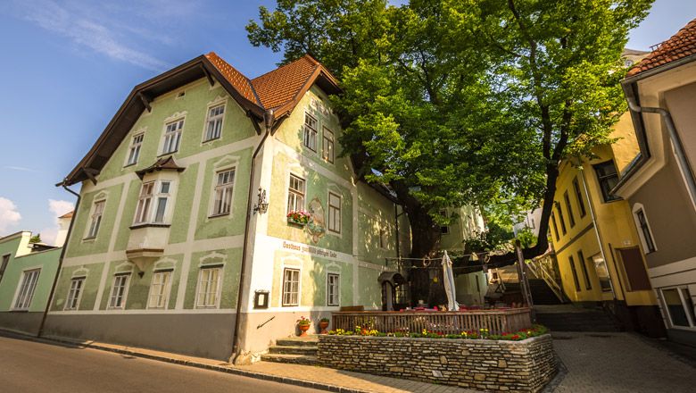 Historic inn with a large lime tree in a narrow street.