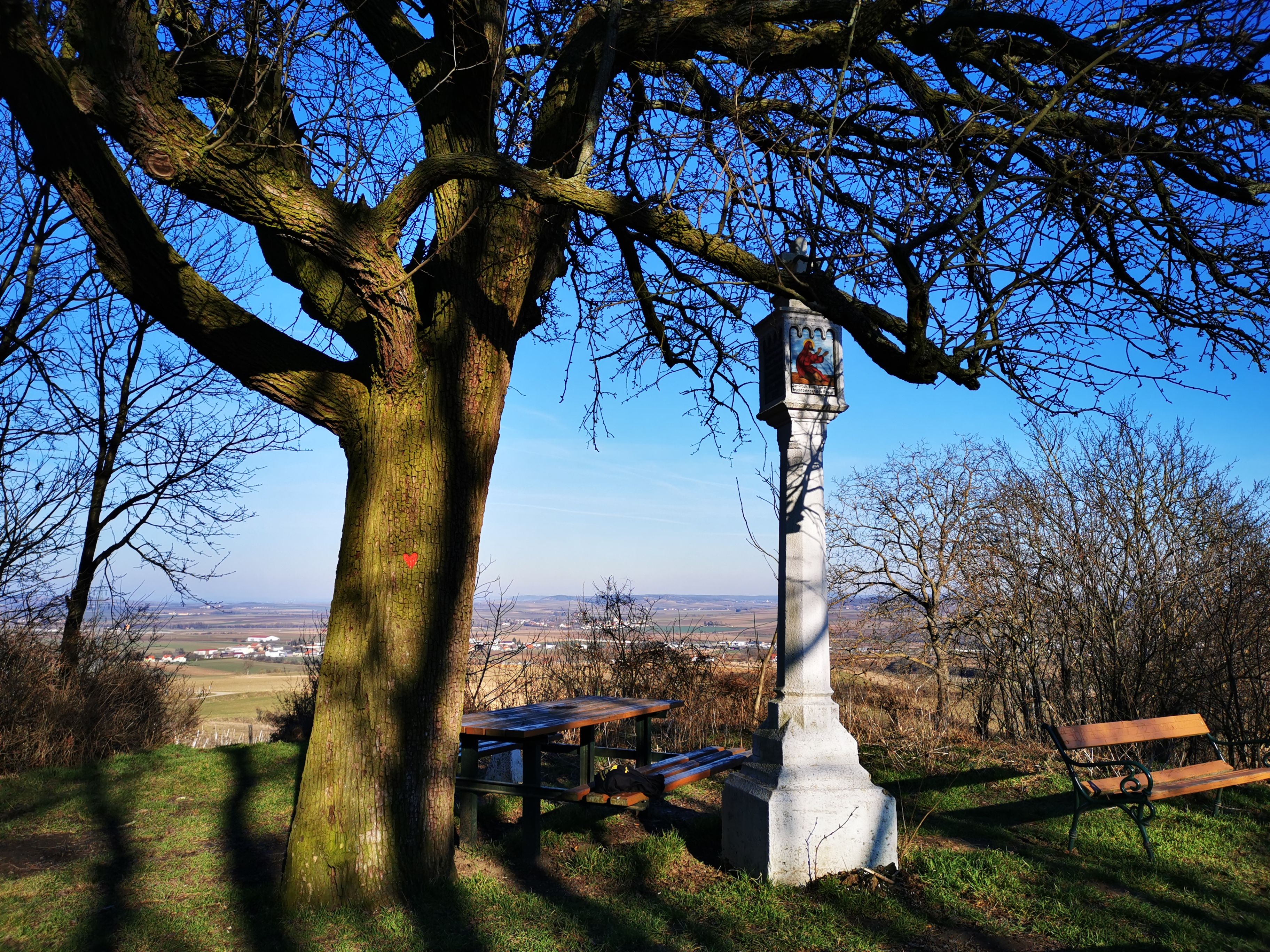 A large tree next to a stone wayside cross with benches and a sweeping view of the landscape.