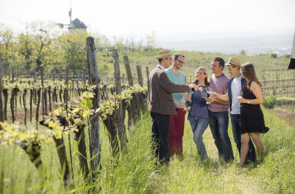 Country outing for enjoying the Weinviertel, © Weinviertel Tourismus/Astrid Bartl