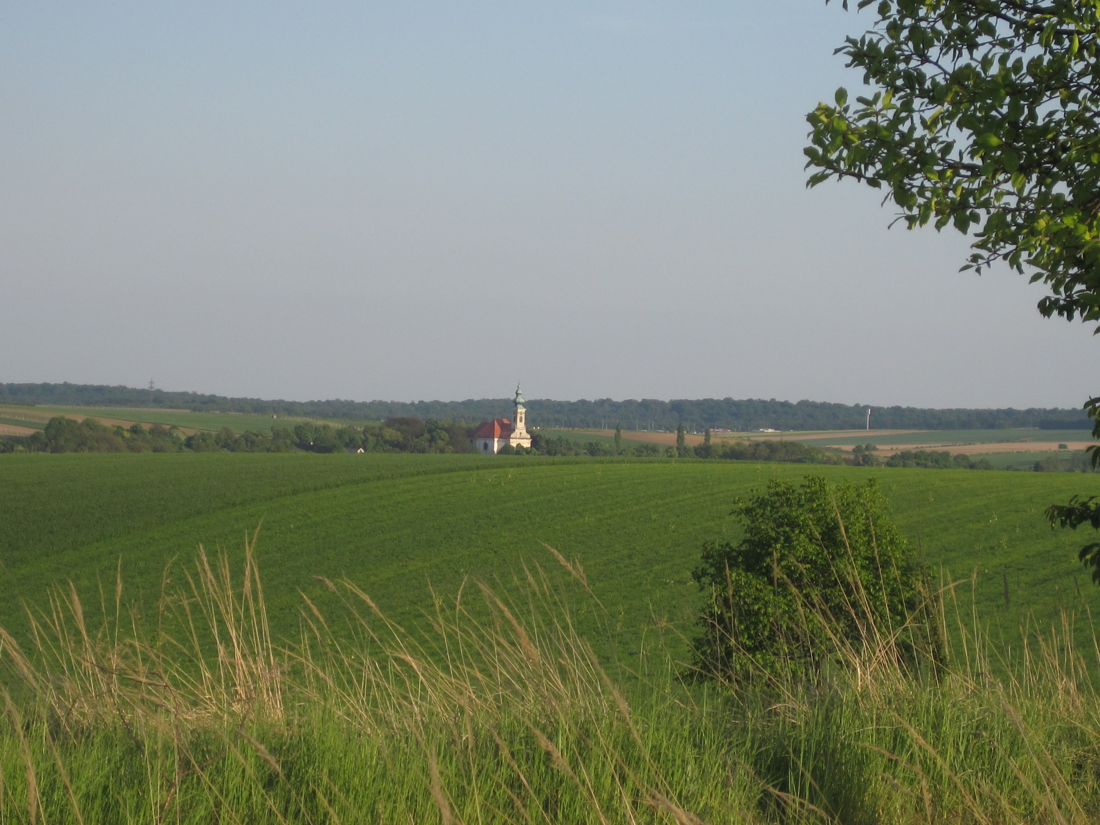 Landscape with green fields and a church in the background.