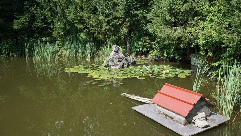 pond_5, © Büchinger