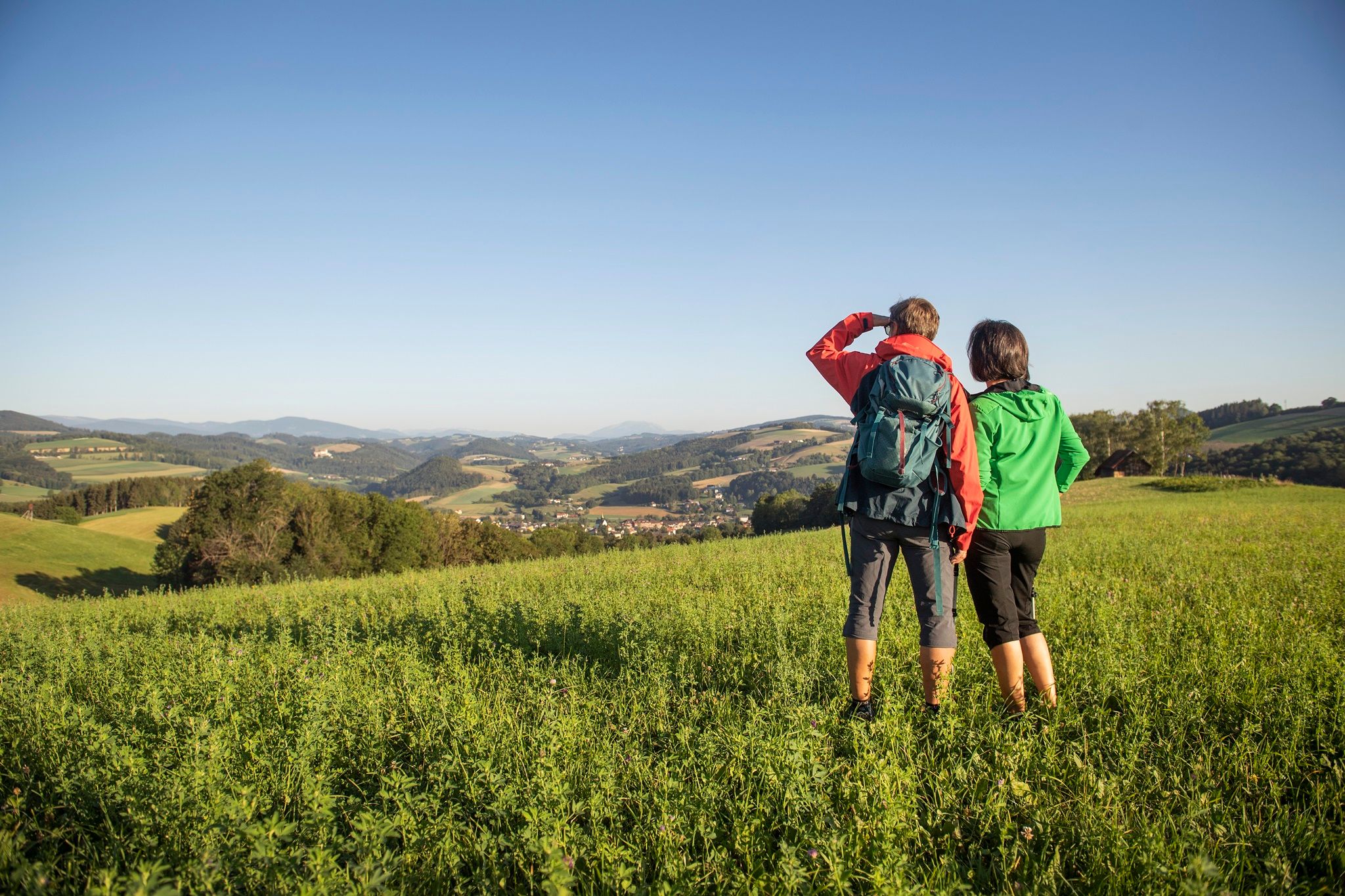 Two people are standing in a meadow, gazing into the distance over a hilly landscape.
