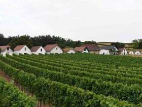 Kellergasse Prellenkirchen, VIA.CARNUNTUM., &copy; Unknown