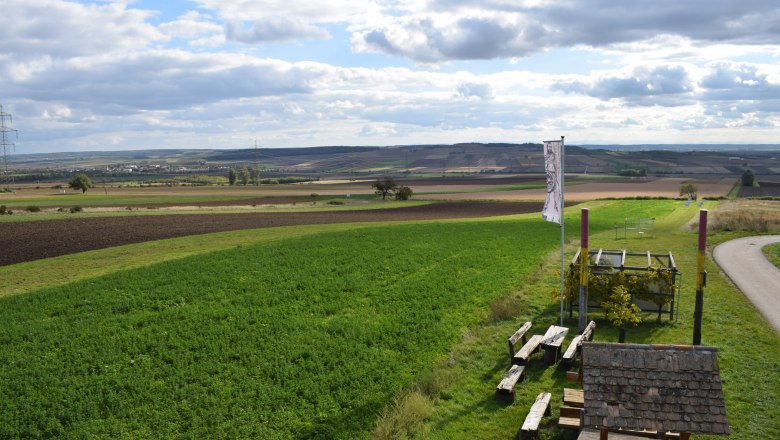 View of the area of the discovery site, © ARDIG