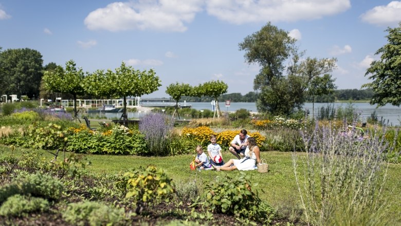 Family having a picnic on a meadow by the Danube with flowers and trees in the background.