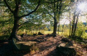 A stone circle in the forest with sunlight shining through the trees.