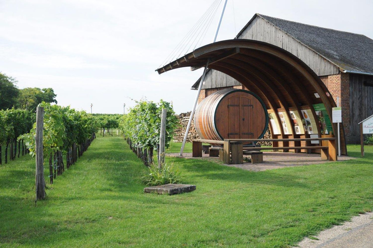 Vineyard with large wooden barrel and information boards in Hohenruppersdorf.