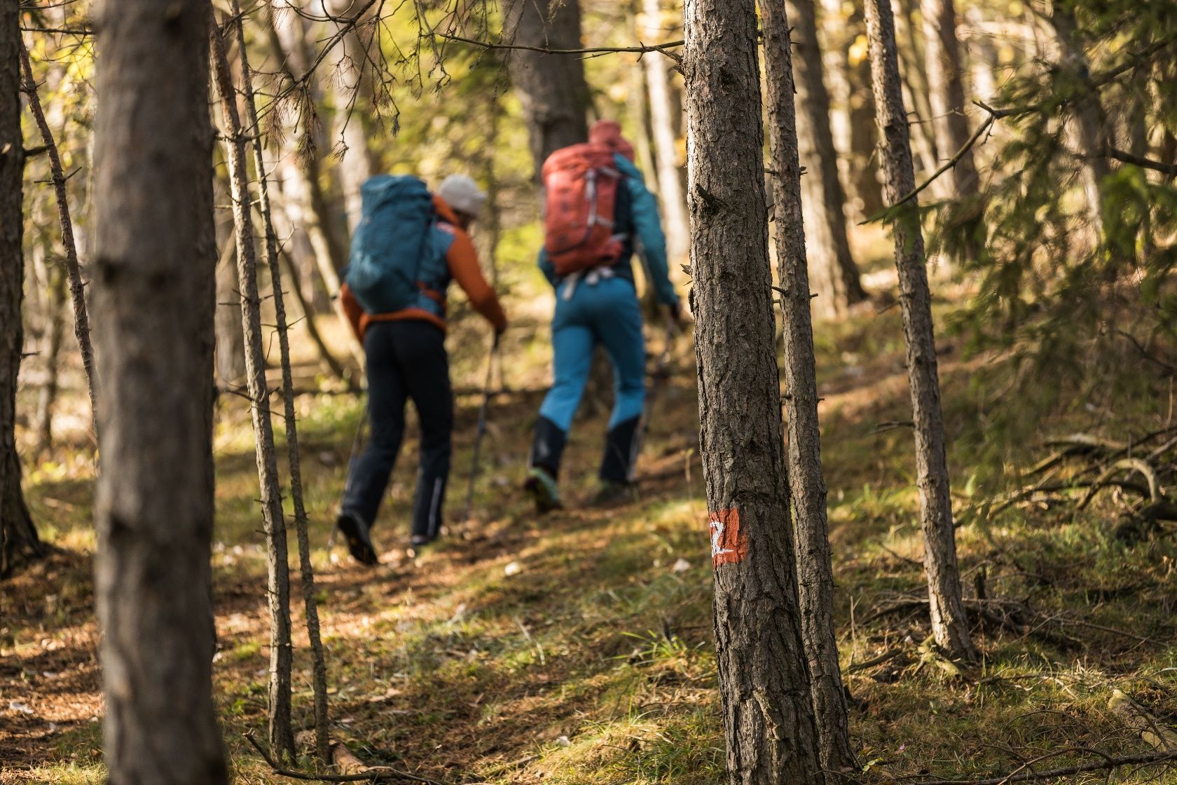 Hiking on the Alpannonia long-distance hiking trail