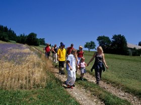 Foto: Archiv Waldviertel Tourismus, &copy; Waldviertel Tourismus