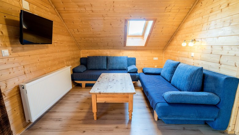 Living room with wooden walls, blue sofas, wooden table and skylight.