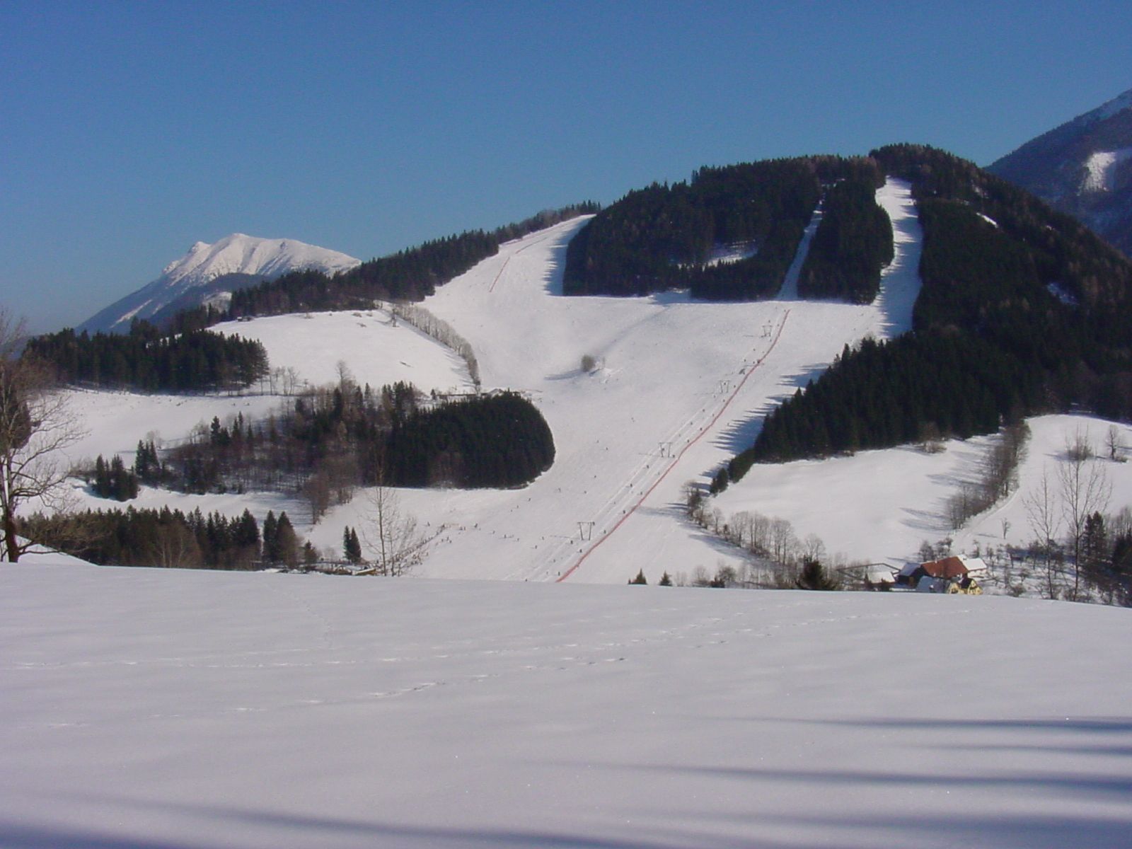 Snow-covered ski slopes and forests in a mountain landscape.