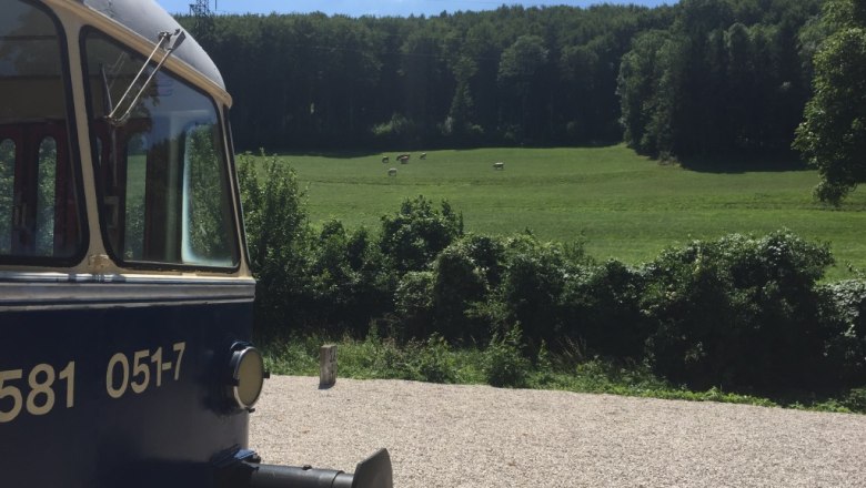View from the front garden towards the wagon, &copy; M. Schorn