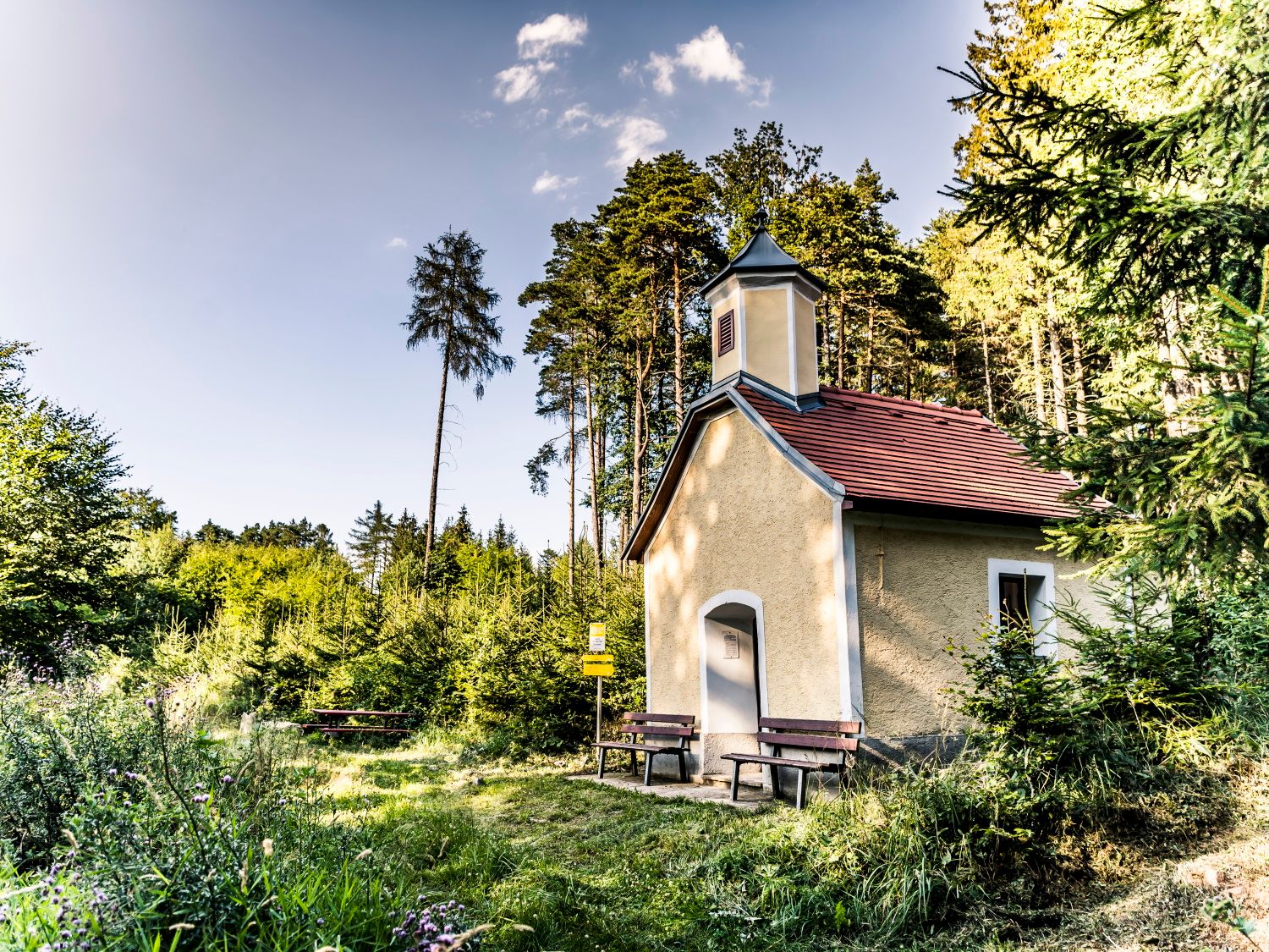 Small chapel in the forest with benches in front of it, surrounded by trees and meadow.