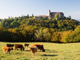 Burg Bernstein, &copy; Unknown