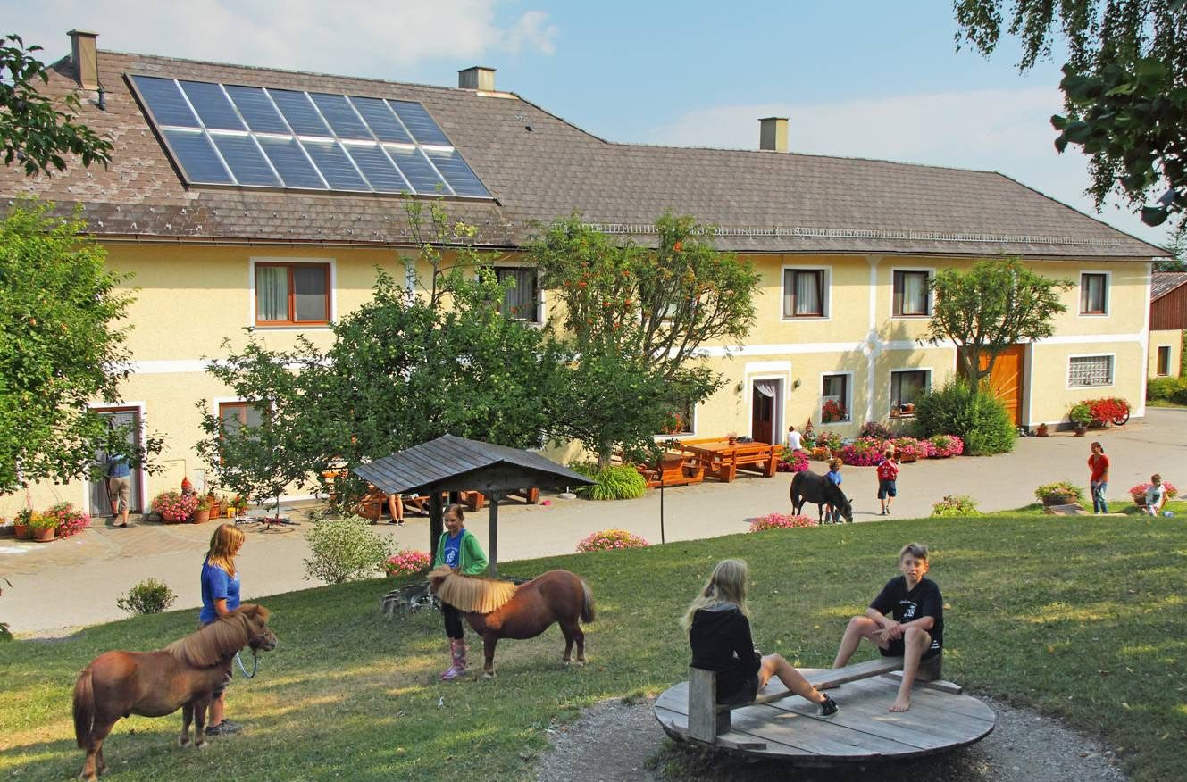 Children playing on a farm with ponies in the foreground.