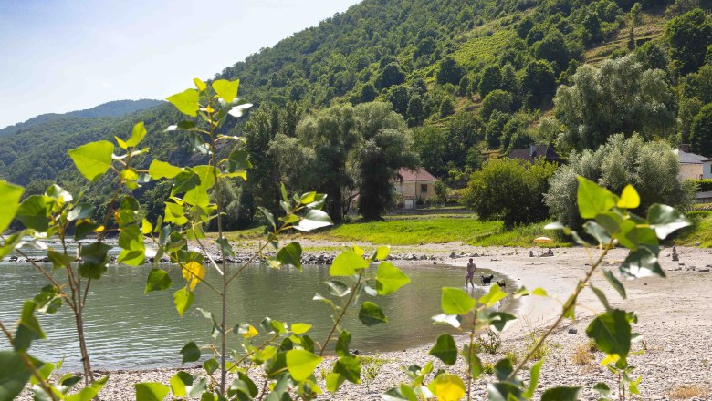 Danube beach in Spitz, &copy; Donau N&Ouml; Tourismus_Barbara Elser