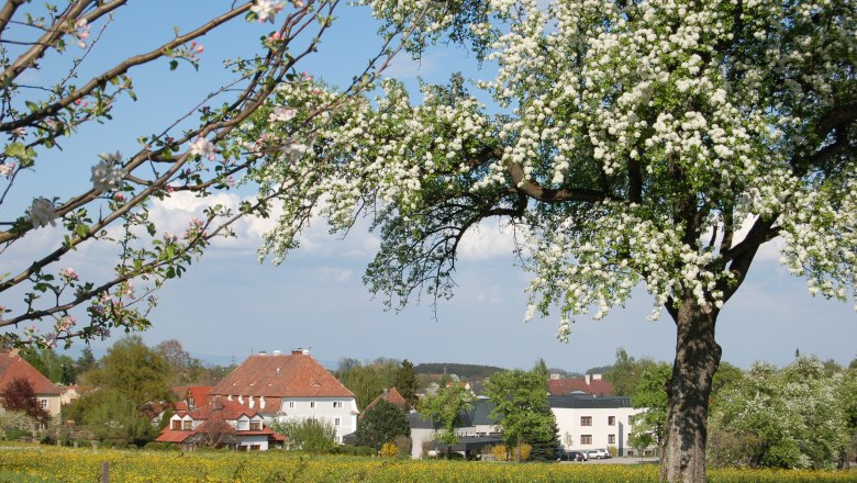 St. Benedikt Education Center, © BZ St. Benedikt St. Benedikt Education Center, © BZ St. Benedikt