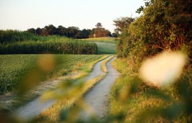 Auf idyllischen Wegen bei W&uuml;rmla, &copy; weinfranz.at