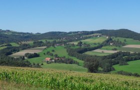 Landscape with green fields and hills under a blue sky.