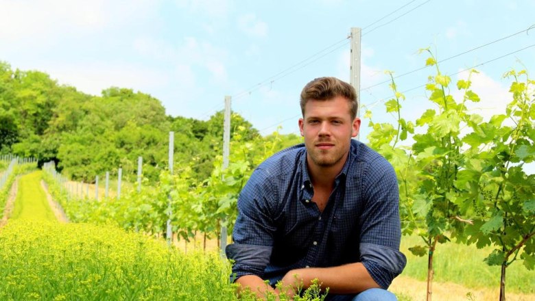 A man kneels in a vineyard next to green vines and yellow flowers.