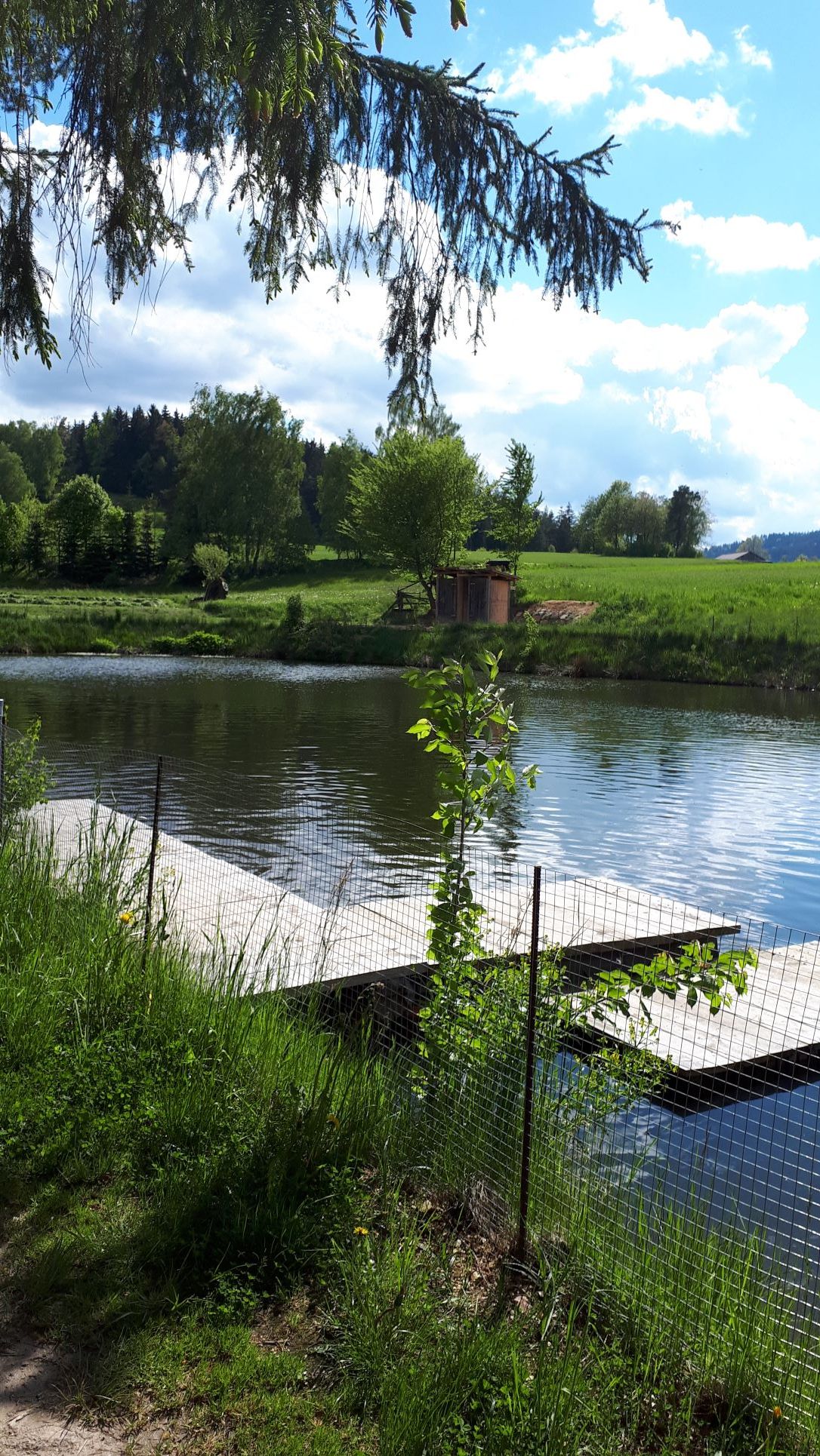 Pond with campsite