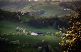 Photo point St. Michael South, &copy; schwarz-koenig.at