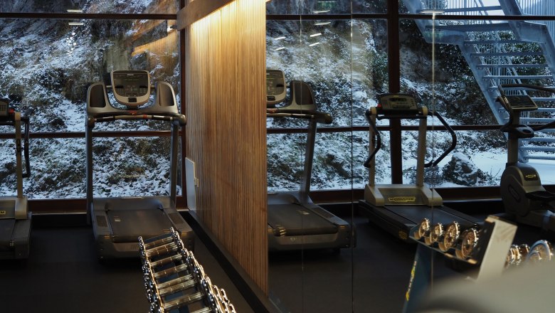 Fitness room with treadmills and weights, windows with a view of the snowy landscape.
