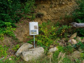 Station 5, &copy; Unknown