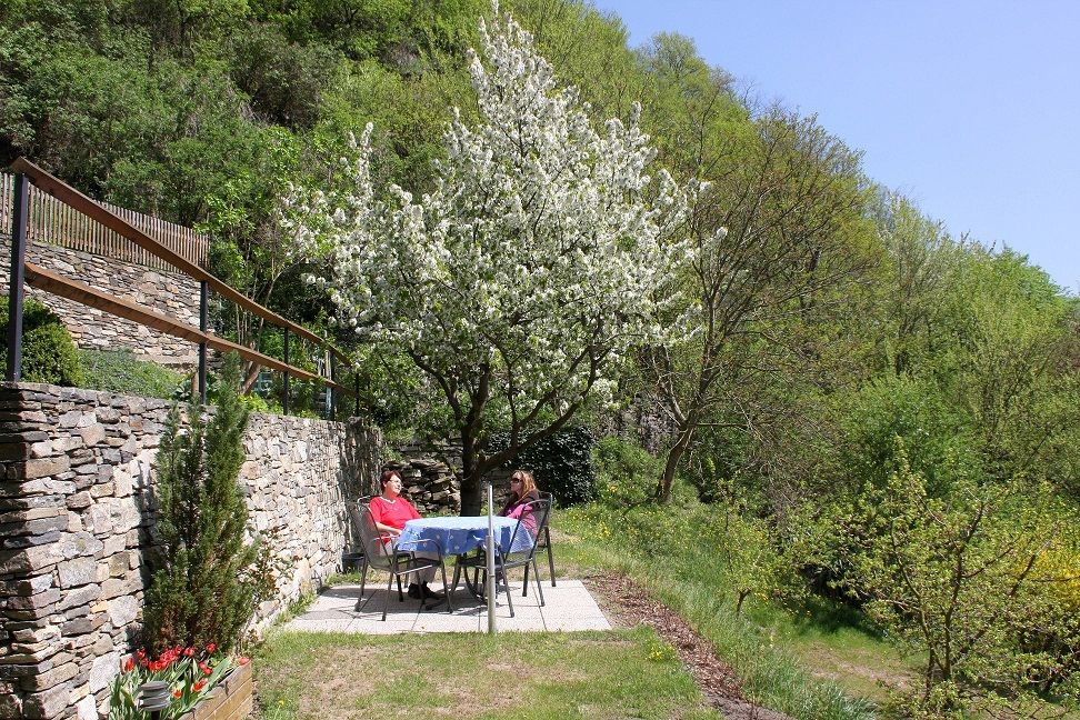 Two people are sitting at a table in the garden under a blossoming tree.