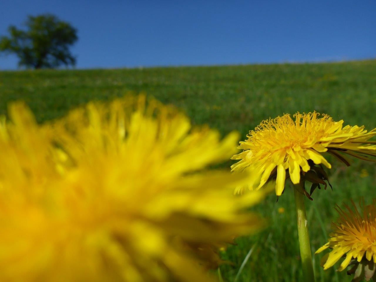 On tour around Ober-Grafendorf
