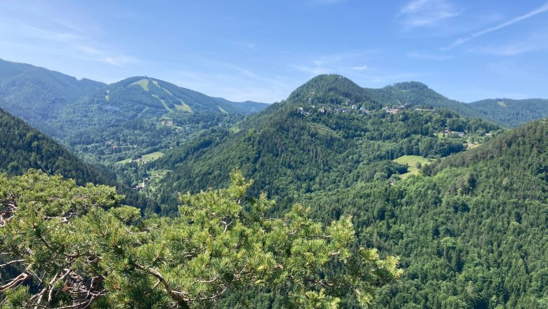 View of green wooded hills under a blue sky.