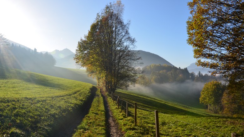 A hiking trail leads through a green landscape with trees and mountains in the background, illuminated by the sun's rays.