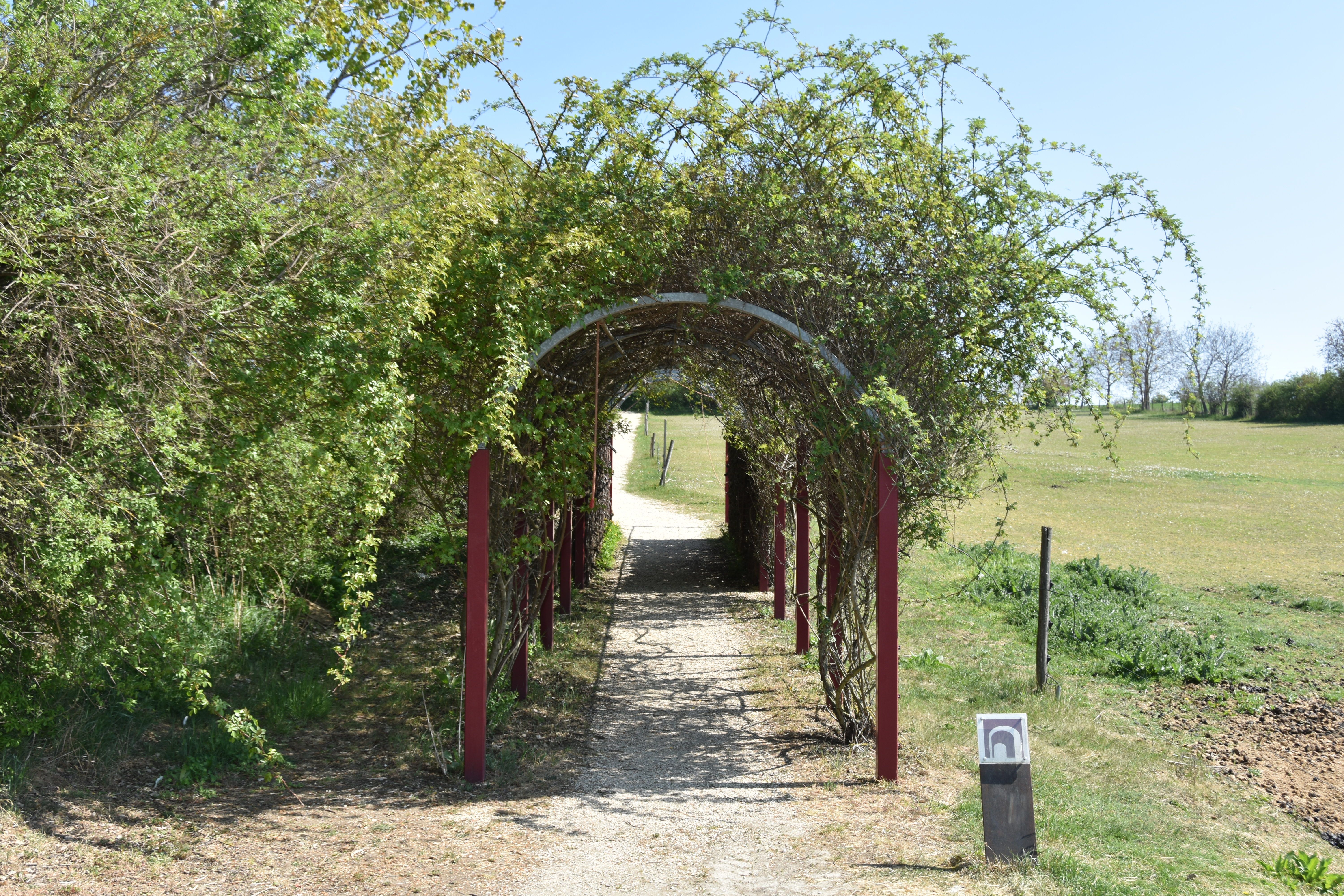 A pergola overgrown with plants on a hiking trail in a rural setting.