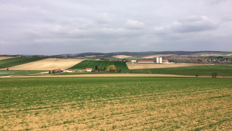 Landscape with fields and farm in the distance.
