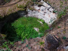 Kalkofen im Wald, &copy; Unknown