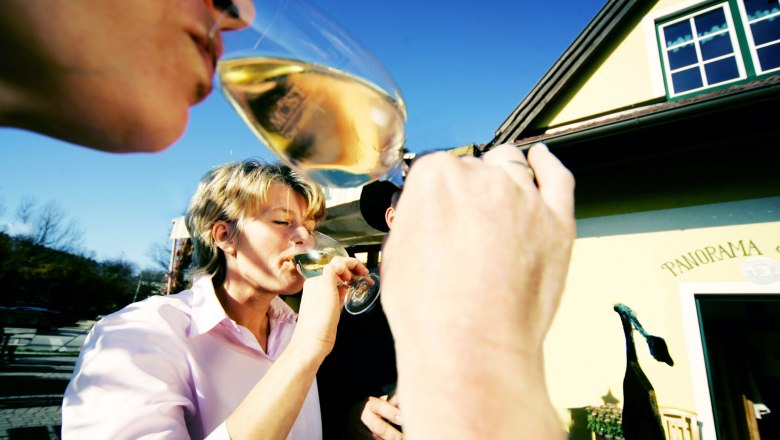 People drinking wine in front of a building labeled 'Panorama'.