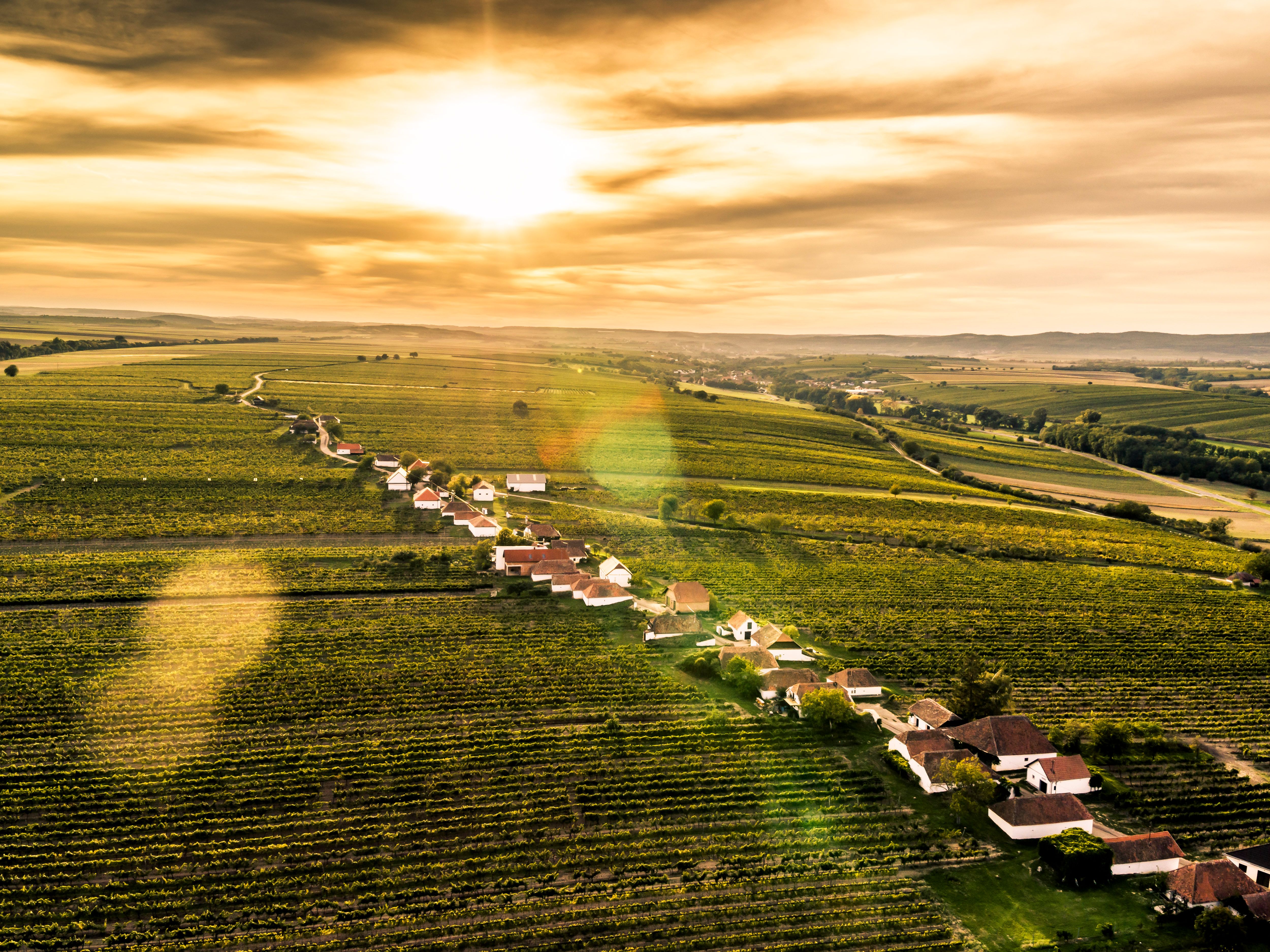 Wine cellar in Zellerndorf, surrounded by vineyards and blue skies.