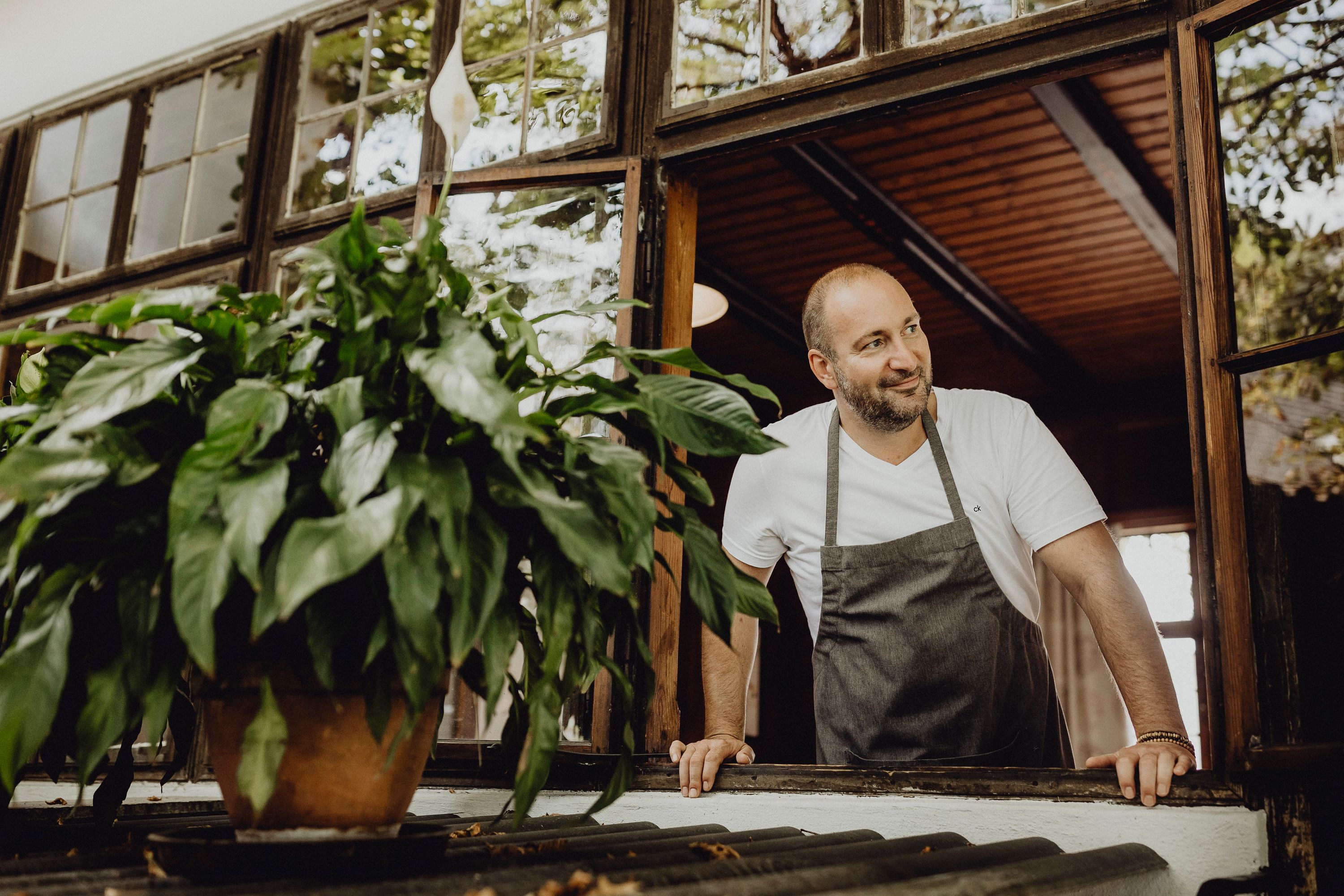 A man in an apron leans out of a window, a plant in the foreground.